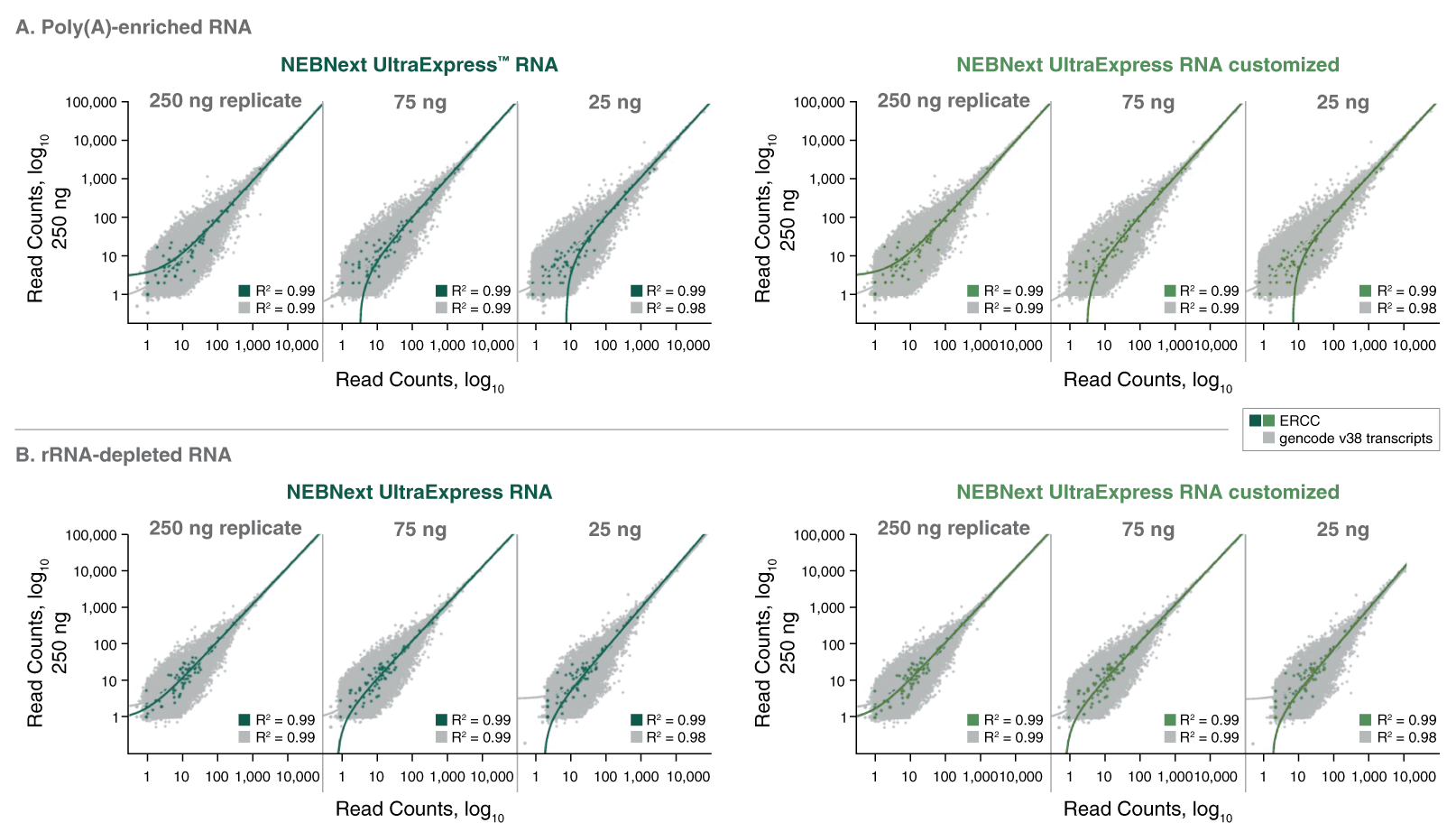 Transcript Correlation Graph