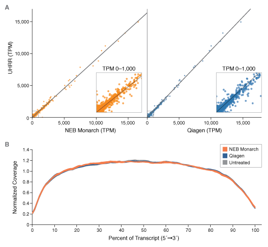 MonarchRNA_RNAseq