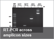 MonarchRNA_RTPCR2_thumb