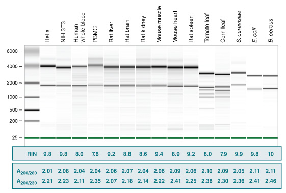 MonarchRNA_SampleTypes