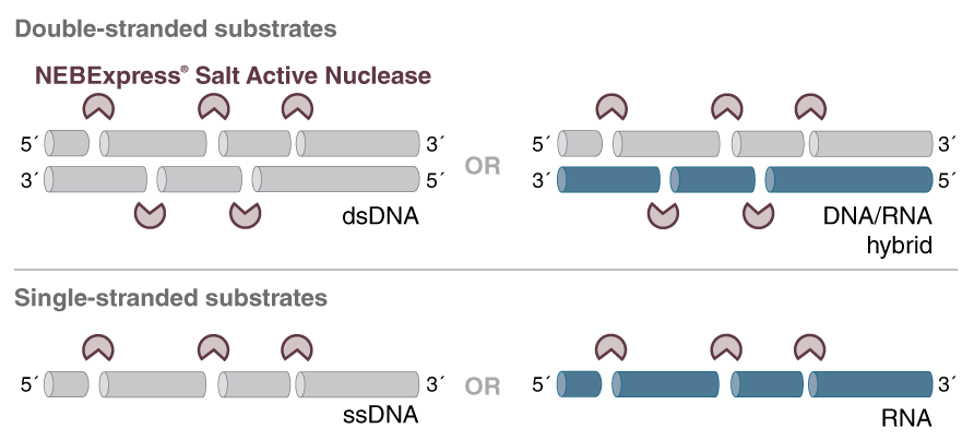 M0764 Mechanism