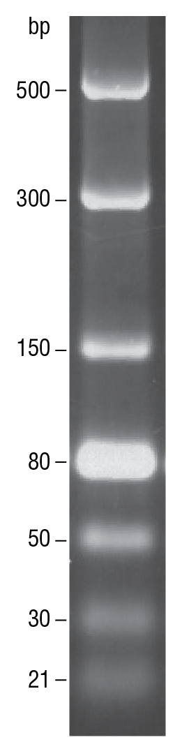 dsRNA Ladder TBE agarose