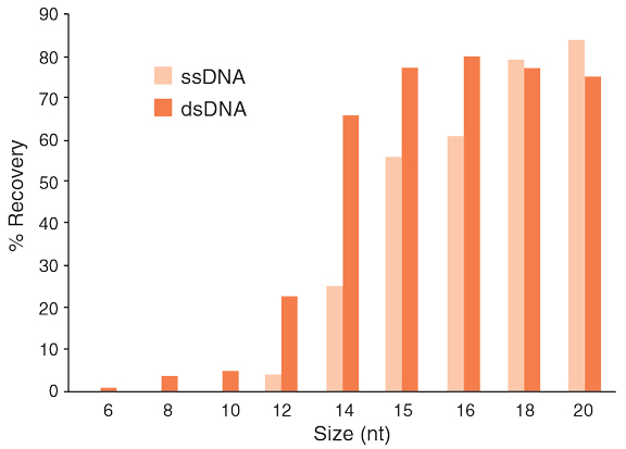 Recovery_of_ssDNA_dsDNA_oligonucleotides