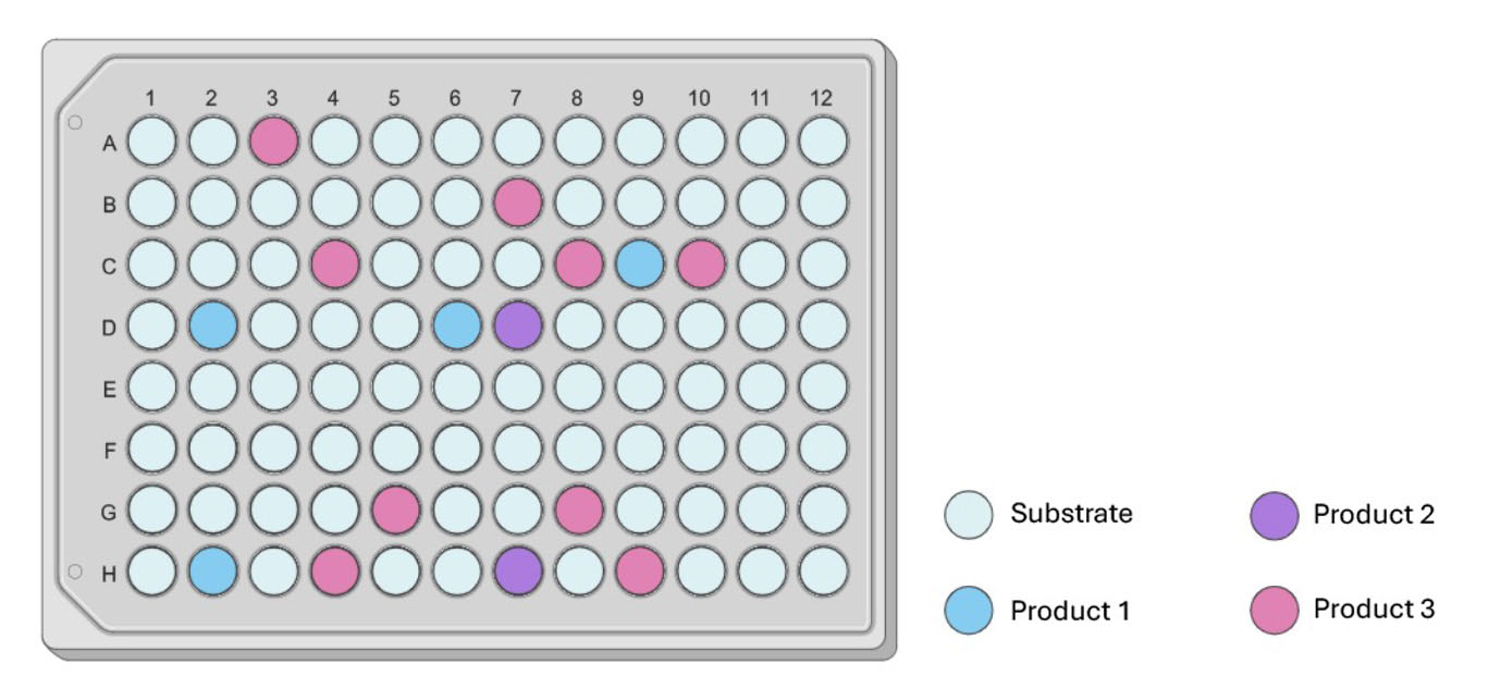 Diagram of a 96 well plate with wells different colors showing ability of different substrates being converted into respective products