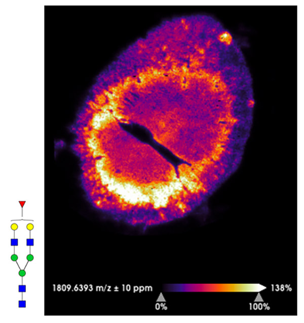 Mass spec image