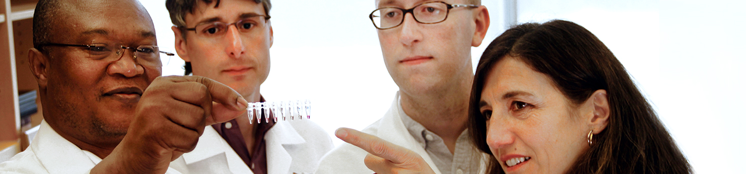 researcherProfiles_banner