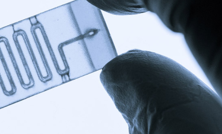 Glycerol Free