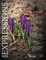 Expressions_Issue_I_2020