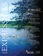 Expressions_Issue_II_2019