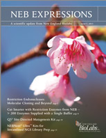 Expressions_IssueI_2013_thumb