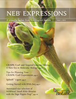 Expressions_IssueI_2014_thumb