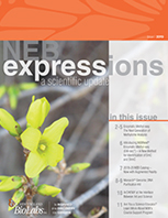Expressions_IssueI_2019
