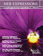 Expressions_IssueII_2013_thumb