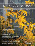 Expressions_IssueII_2015