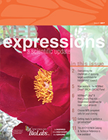 Expressions_IssueII_2017