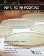 Expressions_IssueIII_2013_thumb