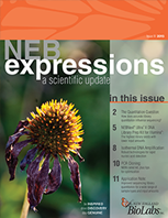 Expressions_IssueIII_2015