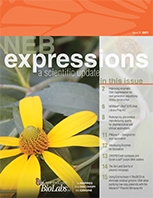 Expressions_IssueIII_2017