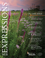 nebexpressions_issue_ii_2022