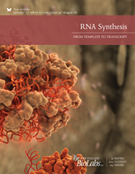 RNA Brochure