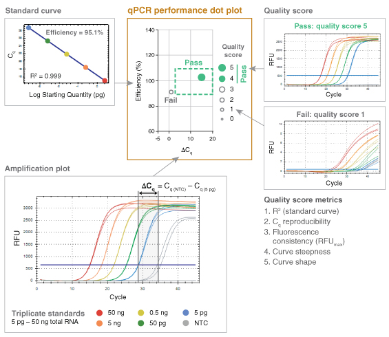 translate qPCR data diagram