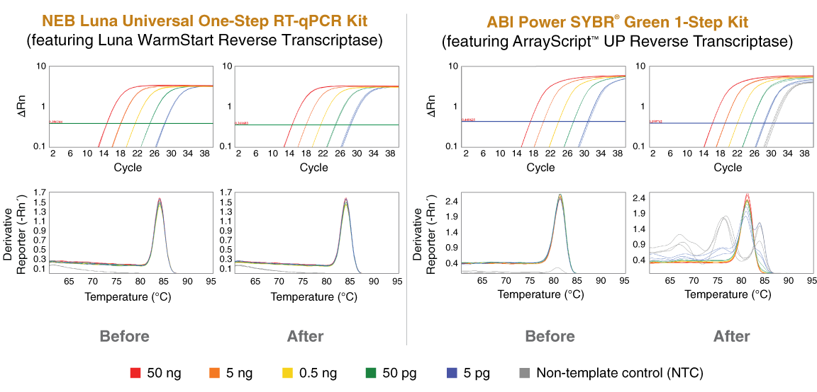 WarmStart Luna RT prevents spurious amplification resulting from room-temperature pre-incubation