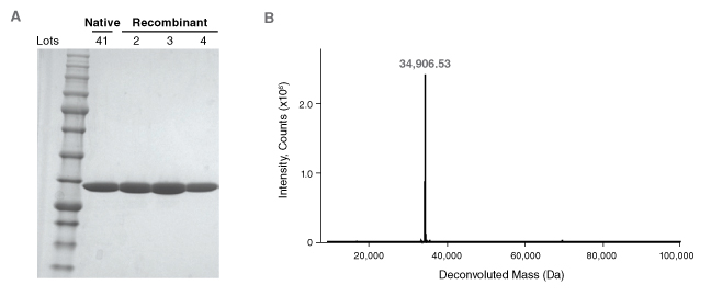 fig4