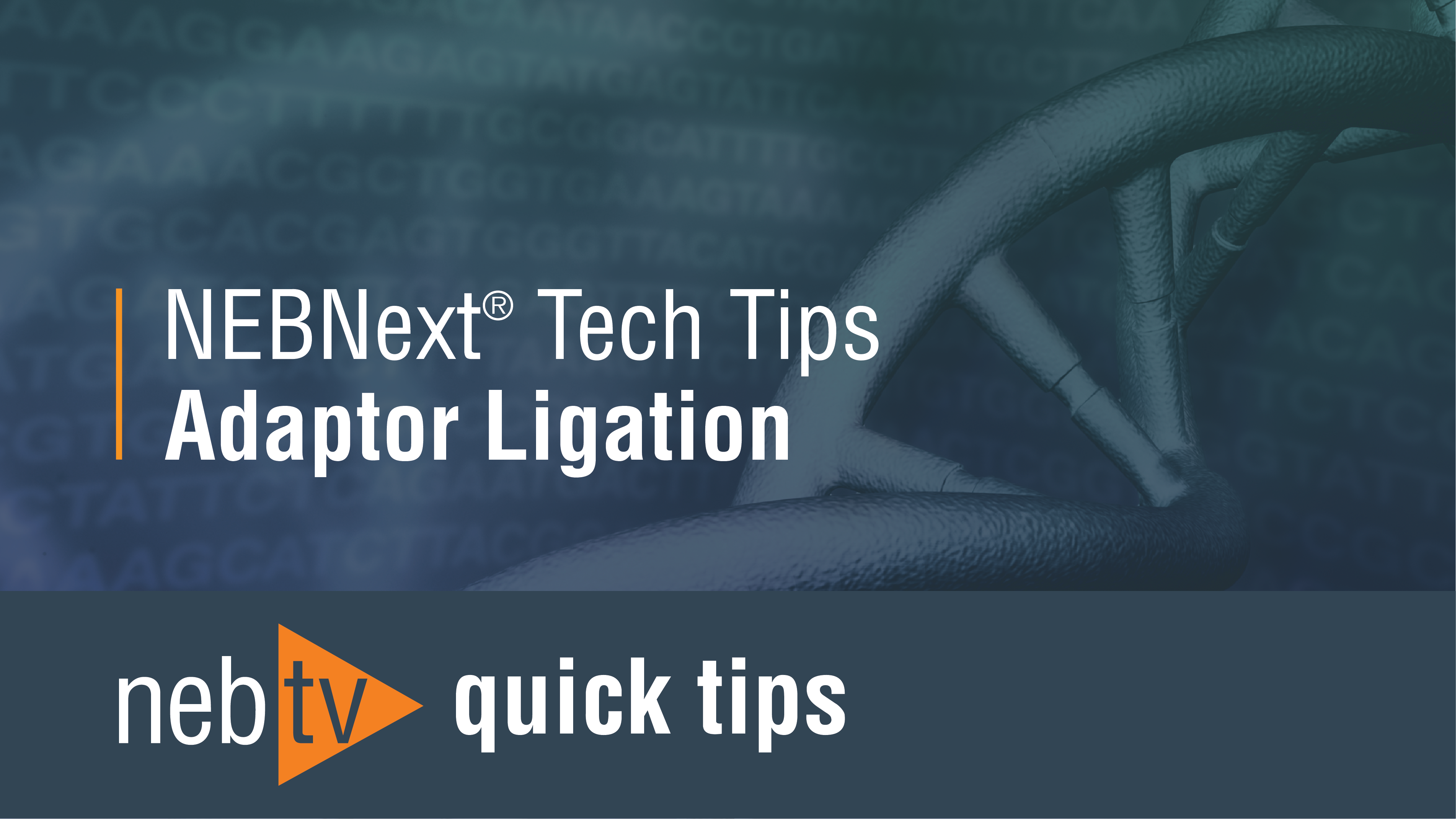 NEBNext Tech Tip: NGS library prep adaptor ligation and adaptor dilution