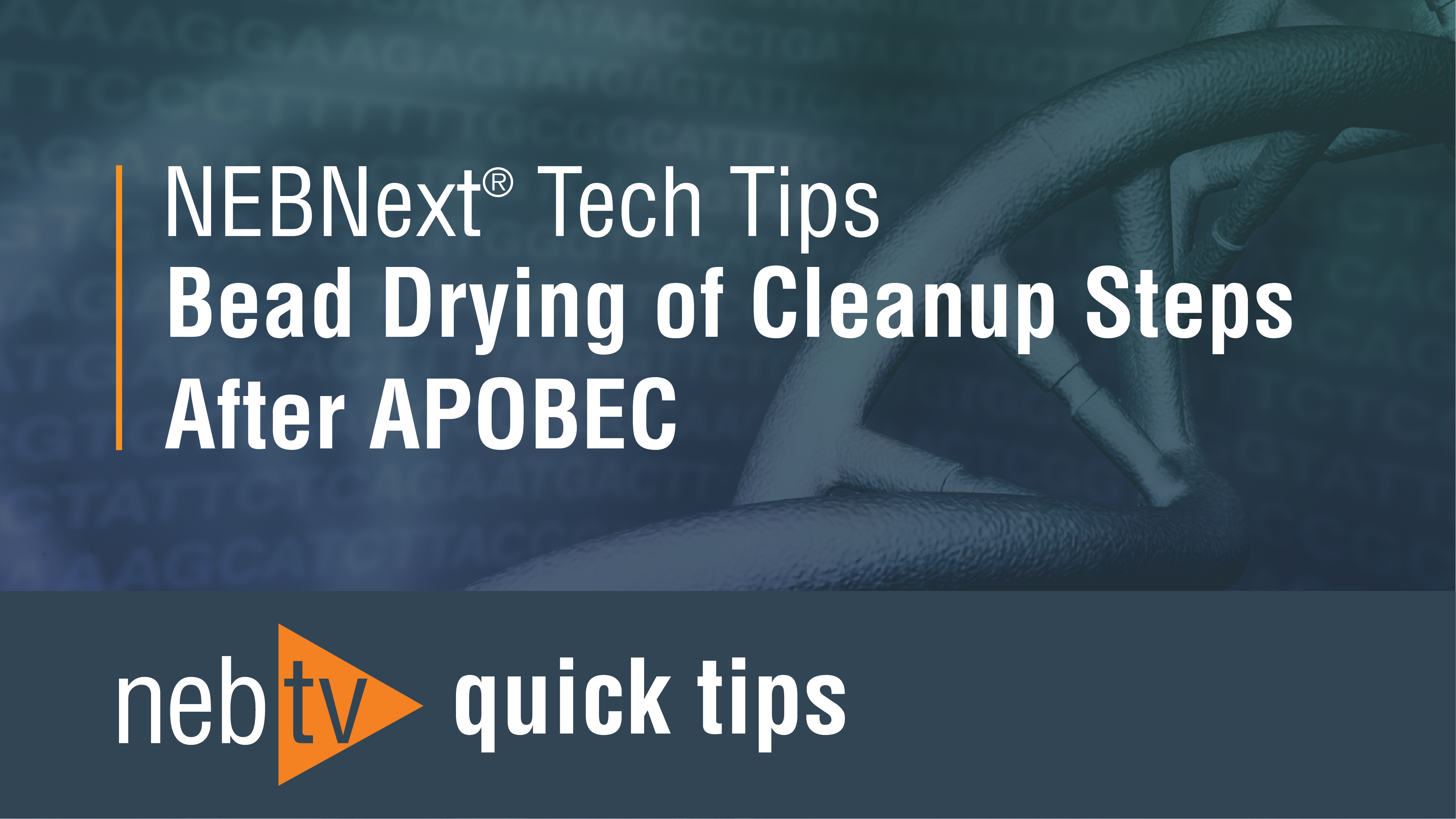 NEBNext Tech Tips for handling bead-drying during NEBNext EM-seq™ and NEBNext E5hmC-seq™ workflows
