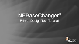 NEBaseChanger Primer Design Tool Tutorial