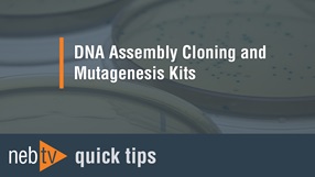 NEBTV_DNA-Assembly-Cloning-and-Mutagenesis-Kits_1920