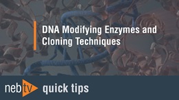 NEBTV_DNA-Modifying-Enzymes-and-Cloning-Techniques_1920