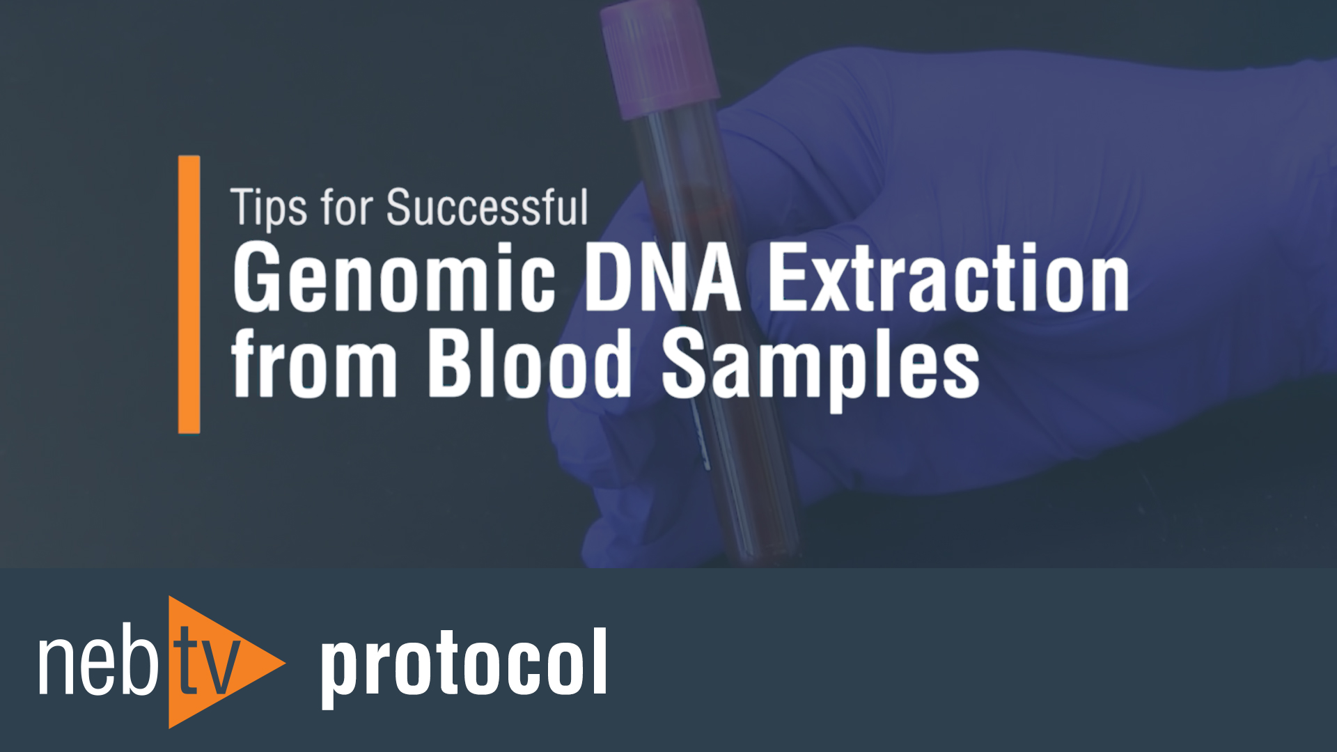 Tips for Successful GenomicDNAExtractionfromBloodSamples