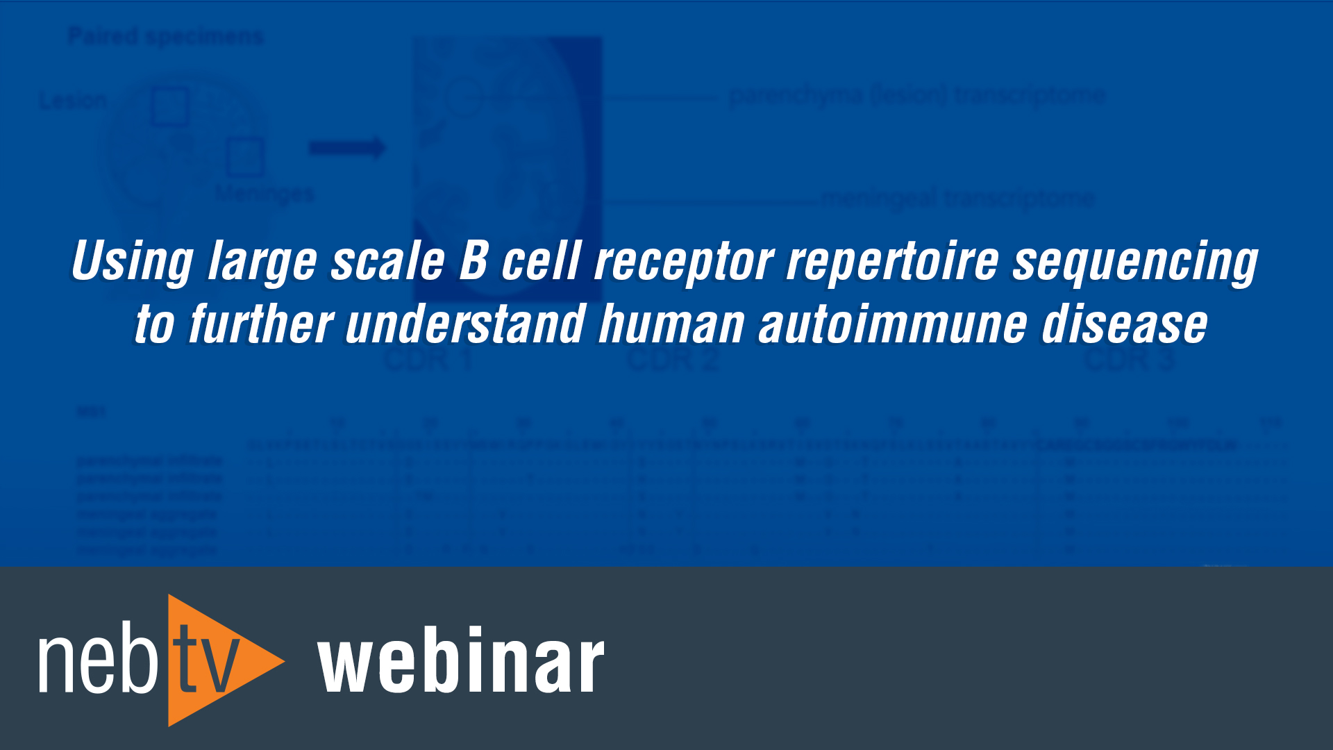 Using large scale B cell receptor repertoire sequencing to further understand human autoimmune disease