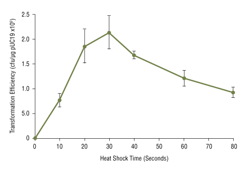 Effect of heat shock time on NEB 5-alpha competent E.coli transformation efficiency: 