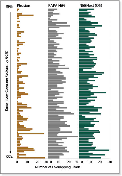 Figure 1: Comparative Analysis of Different DNA Polymerases with Known Low Coverage Regions.