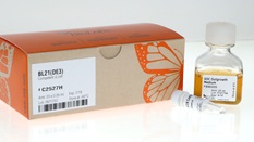 Vượt lên những thử thách - Tận hưởng sự phấn khích với mã giới thiệu 82vn