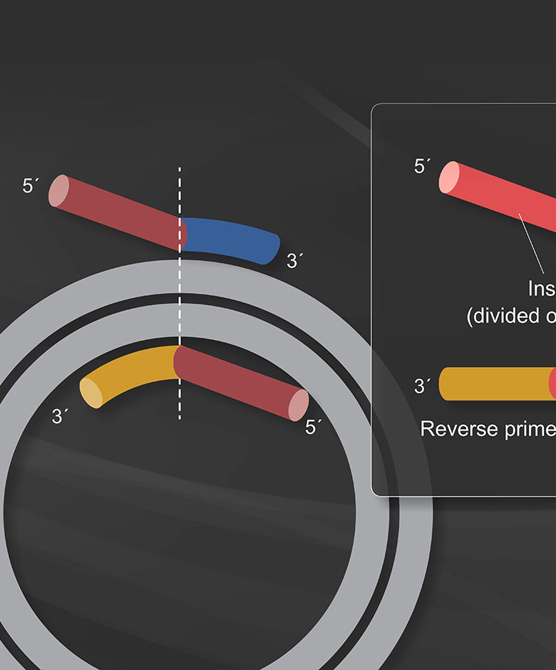Diagram of Q% Process