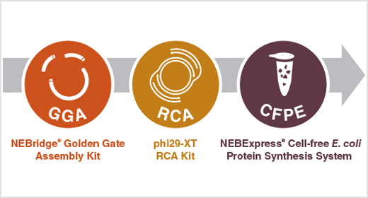 Image of Feature Article Content