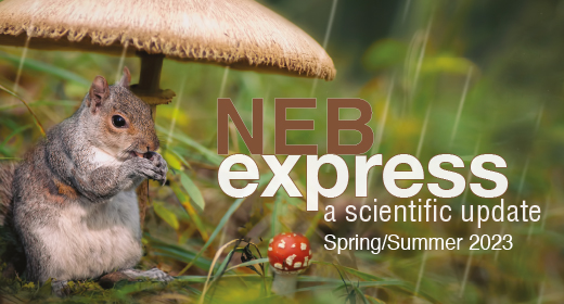 Expressions Euro Spring 2023