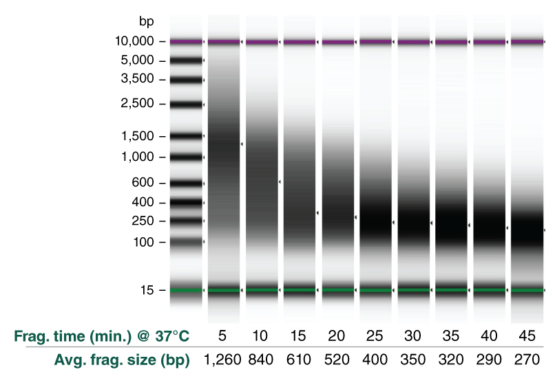 Chart of time dependent fragmentation