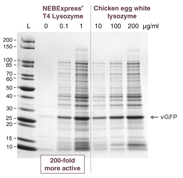 P8115 Figure 1