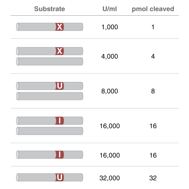 Relative Activity of Thermostable Endonuclease Q