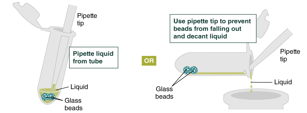 Protocol for High Molecular Weight DNA (HMW DNA) Extraction from Cells ...