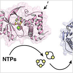 Eaglesham Lab | NEB