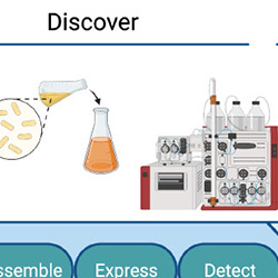 Saleh Lab | NEB