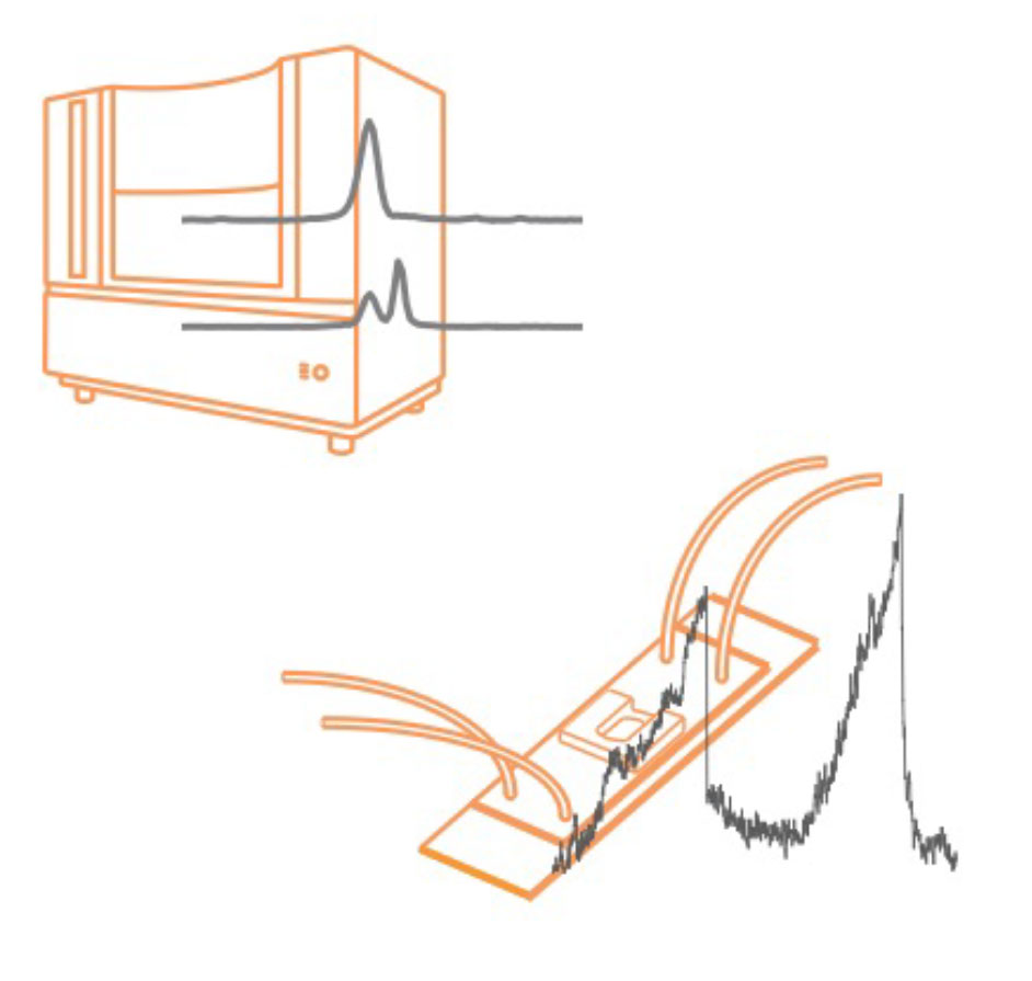 Zatopek Lab Projects | NEB