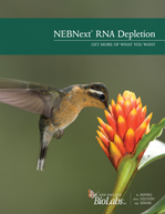 NEBNext RNA Depletion
