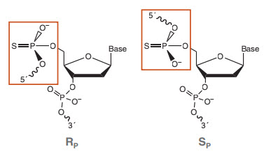The effect of nucleic acid modifications on digestion by DNA ...