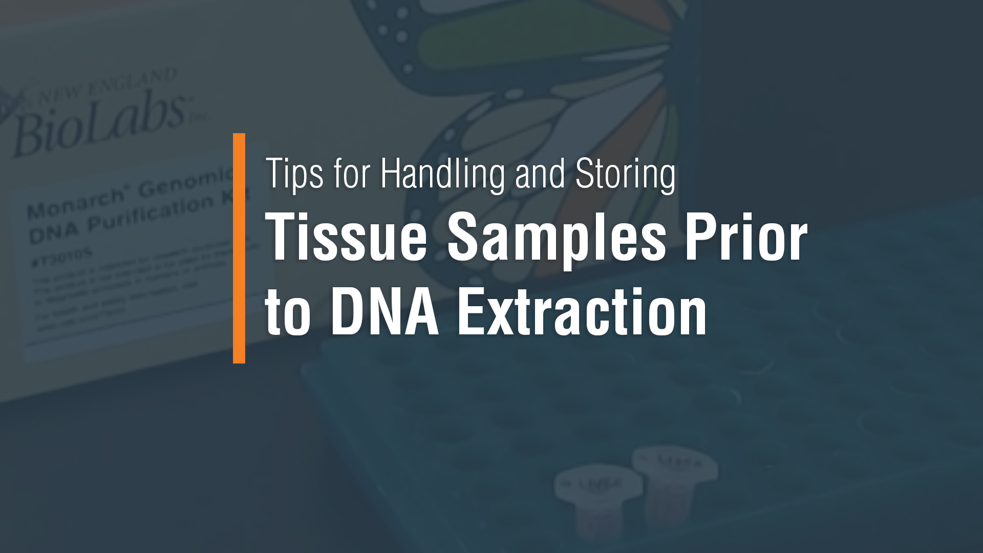 Postlysis Tips for Optimal Results using the Monarch Spin gDNA Extraction Kit NEB
